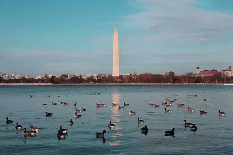 Washington Monument