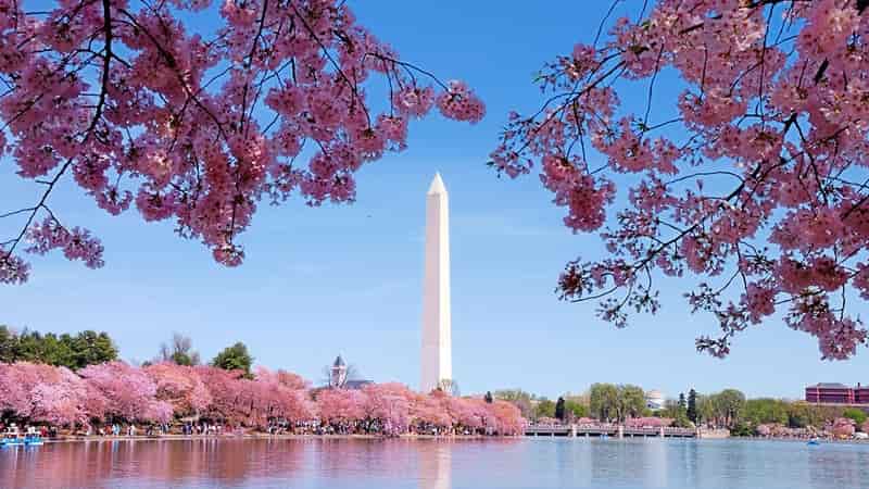 Tidal Basin